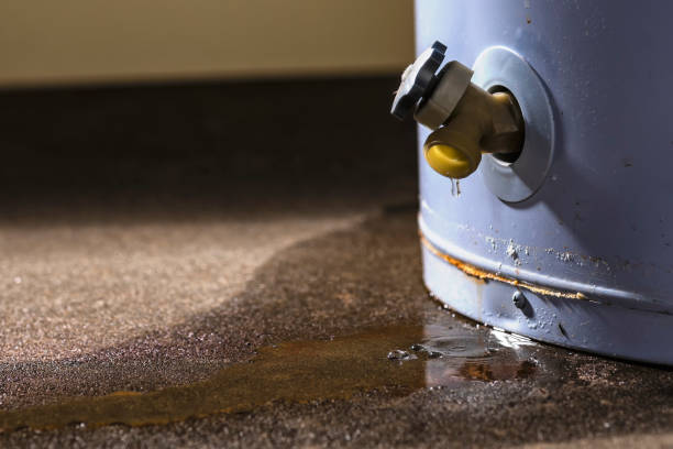 Best Fire Damage Restoration  in Ojai, CA