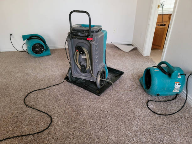 Best Mold removal after water damage  in Ojai, CA