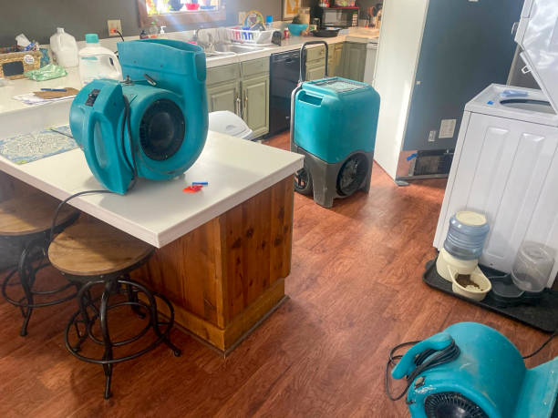Best Sewage cleanup and water damage restoration  in Ojai, CA
