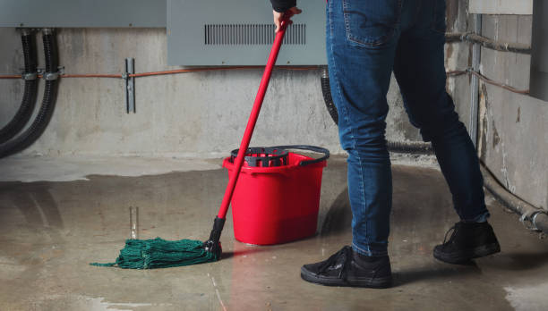 Best Water damage contractors near me  in Ojai, CA