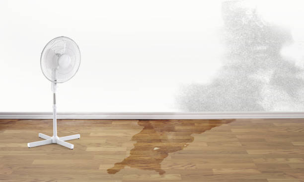 Best Local water damage restoration  in Ojai, CA