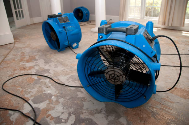Best Ceiling water damage repair  in Ojai, CA