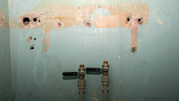 Best Sewage cleanup and water damage restoration  in Ojai, CA
