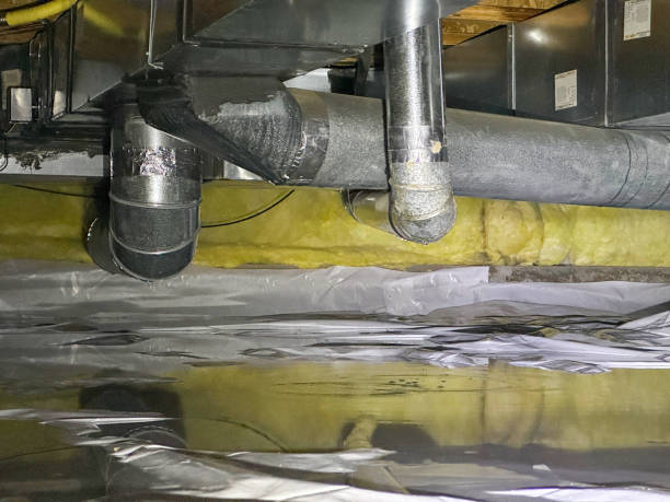 Best Flood damage cleanup  in Ojai, CA