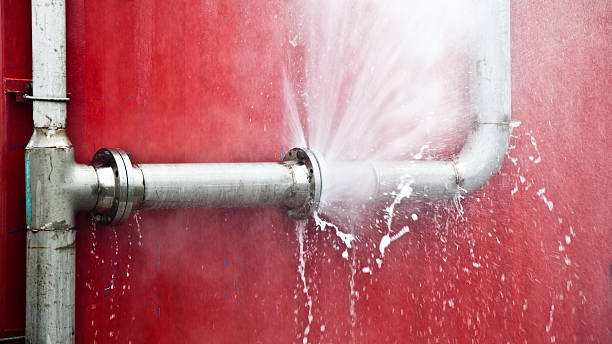 Best Water damage restoration mold remediation  in Ojai, CA